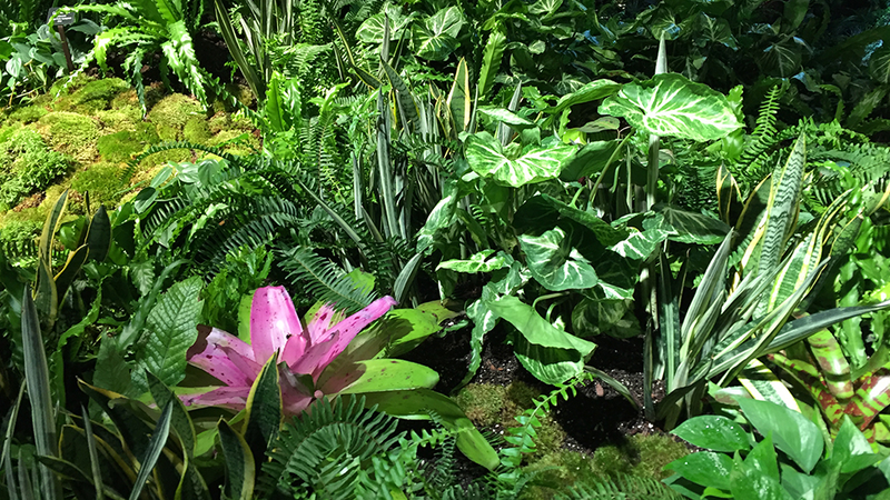 Illustration for article titled The Experimental Jungle Room Where NYC's Underground Park Is Taking RootÂ